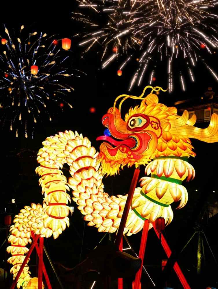 宿迁新春灯会四大展区光影璀璨传统文化与现代艺术交融(图12)