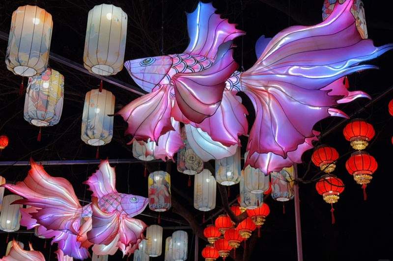 合肥逍遥津新春灯会璀璨启幕 46天光影奇观(图6)