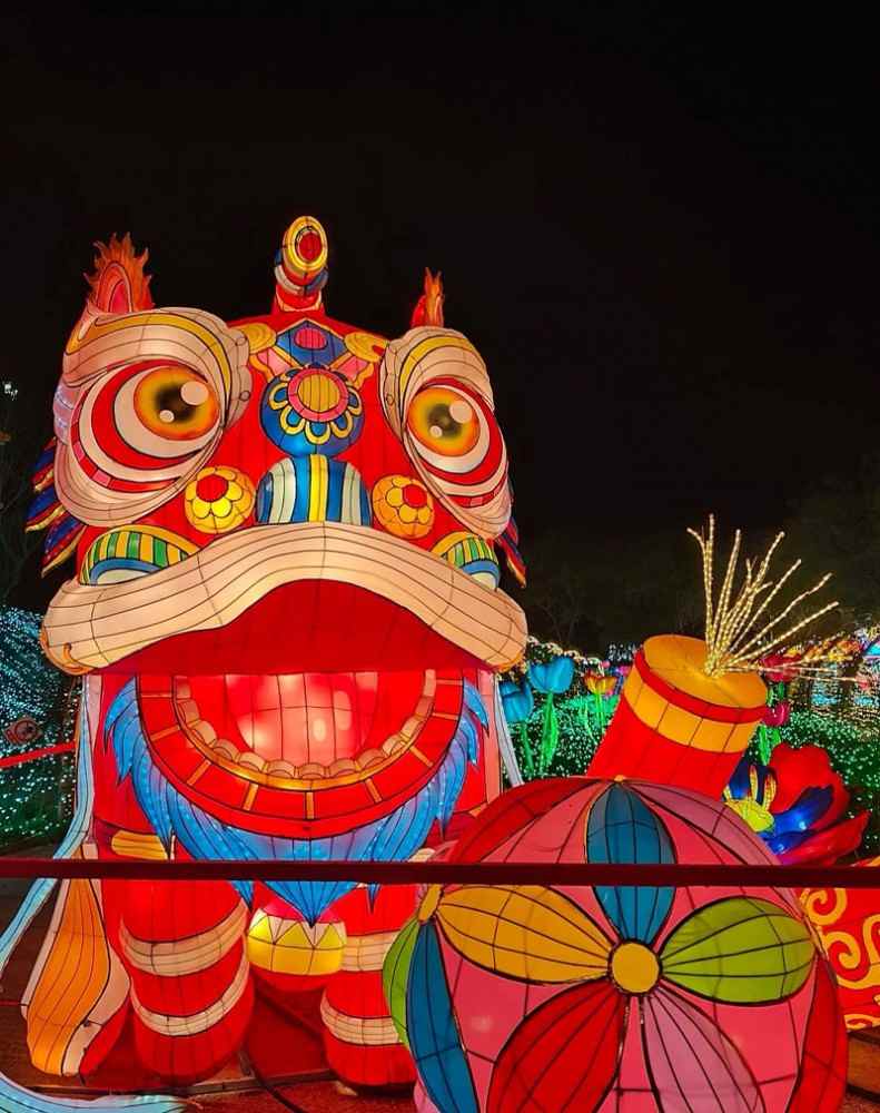 2025资阳雁江春节民俗灯会：民俗文化盛宴精彩来袭(图12)