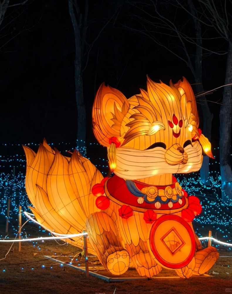 2025资阳雁江春节民俗灯会：民俗文化盛宴精彩来袭(图10)