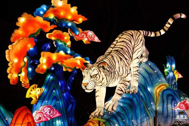 2025粤港澳大湾区灯会创最大规模 文化盛宴点亮湾区(图5)