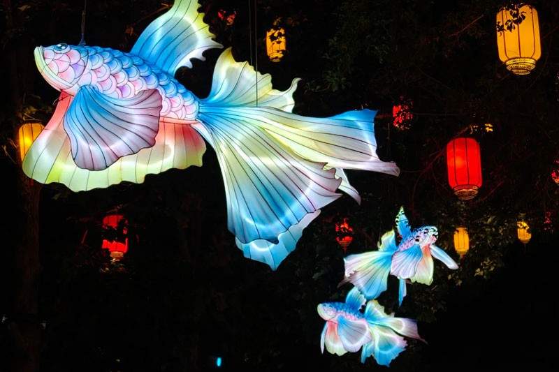 元朝文化沉浸式夜游灯光秀 梅园开启时空对话(图10)