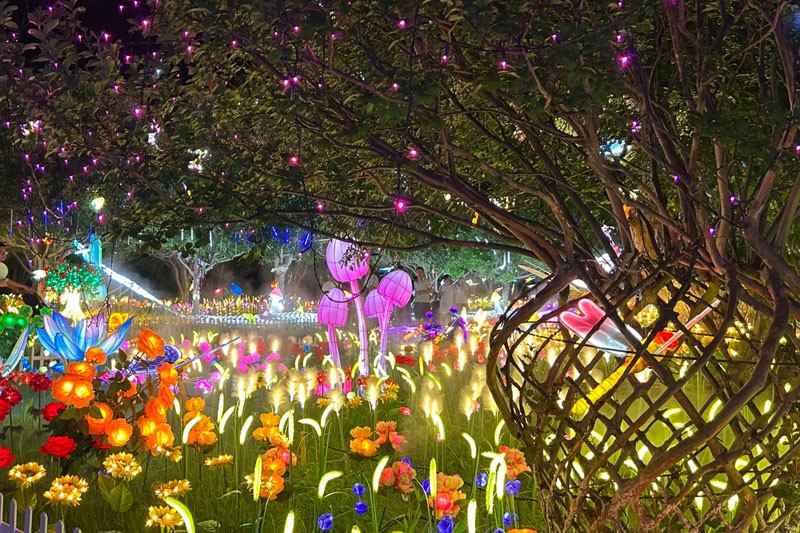 苏州大阳山童话奇遇夜引爆夜游经济 灯光与非遗交织的梦幻之旅(图7)