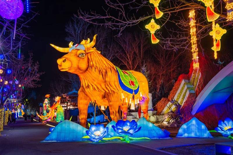 北京世园花灯艺术节点亮新春文旅盛宴(图4)