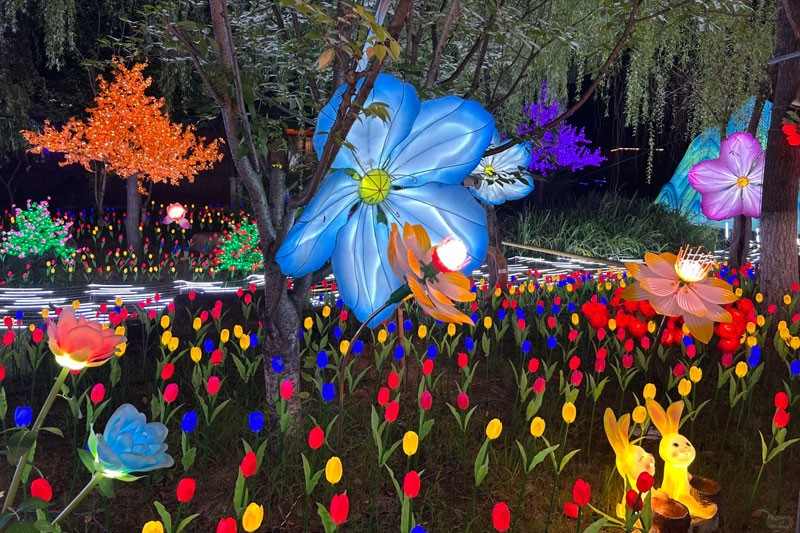 苏州大阳山童话奇遇夜引爆夜游经济 灯光与非遗交织的梦幻之旅(图8)