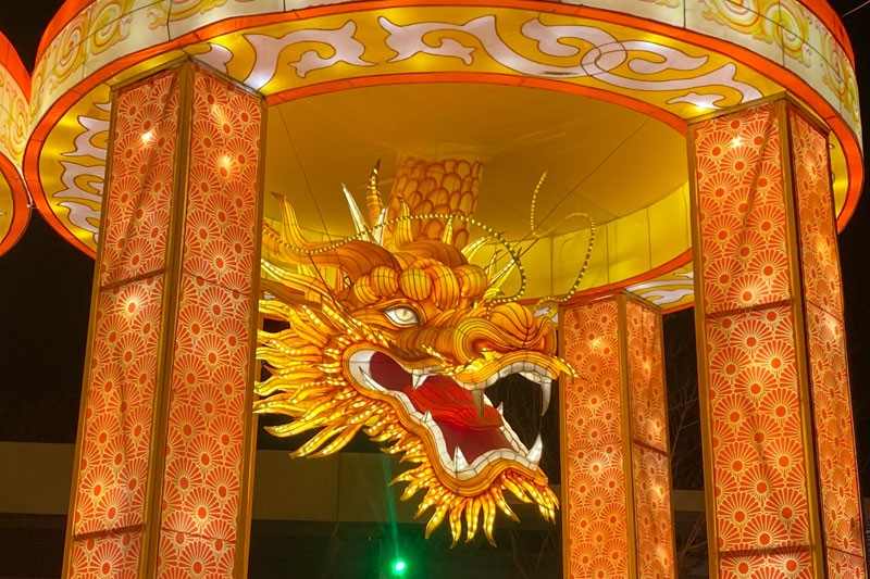 北京世园花灯艺术节点亮新春文旅盛宴(图13)