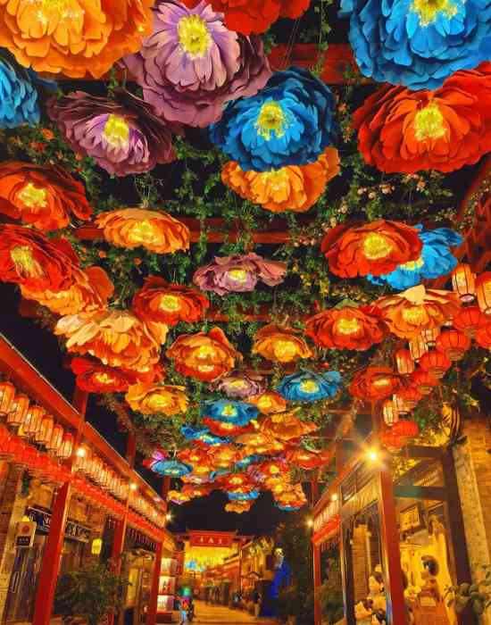 天津灯会(图7)