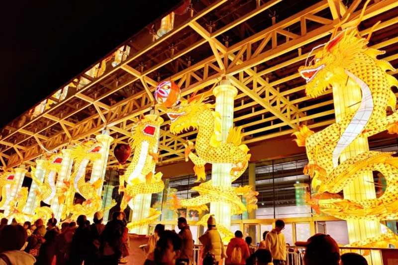 2025武汉园博园花灯会(图2)