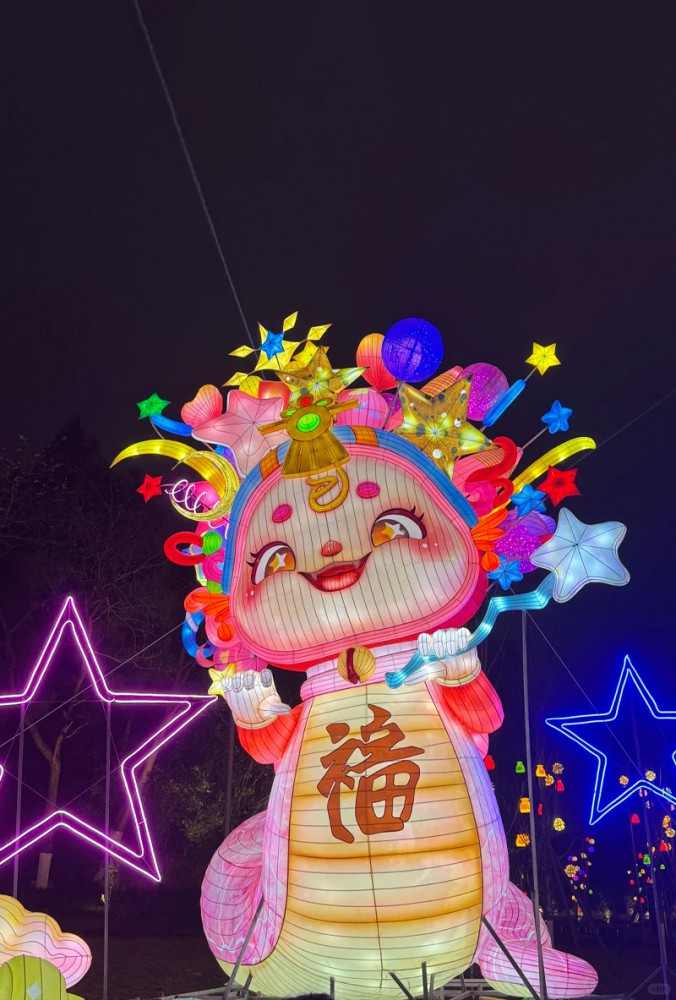 2025第十六届德阳灯会(图8)