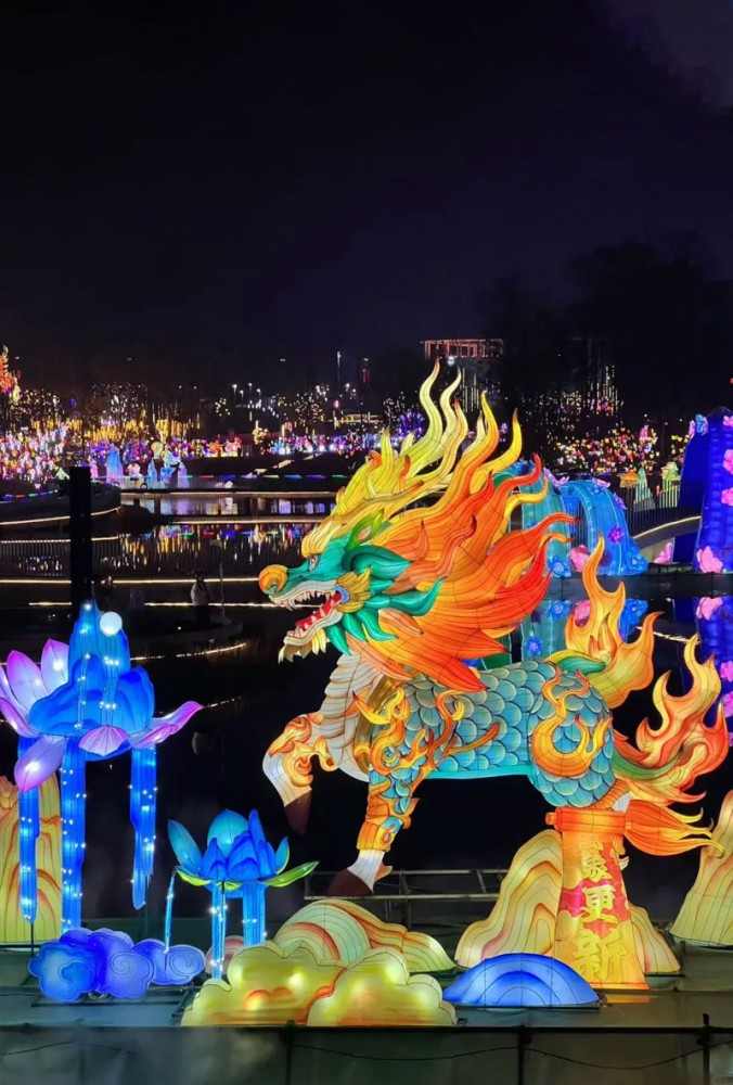 2025第十六届德阳灯会(图10)