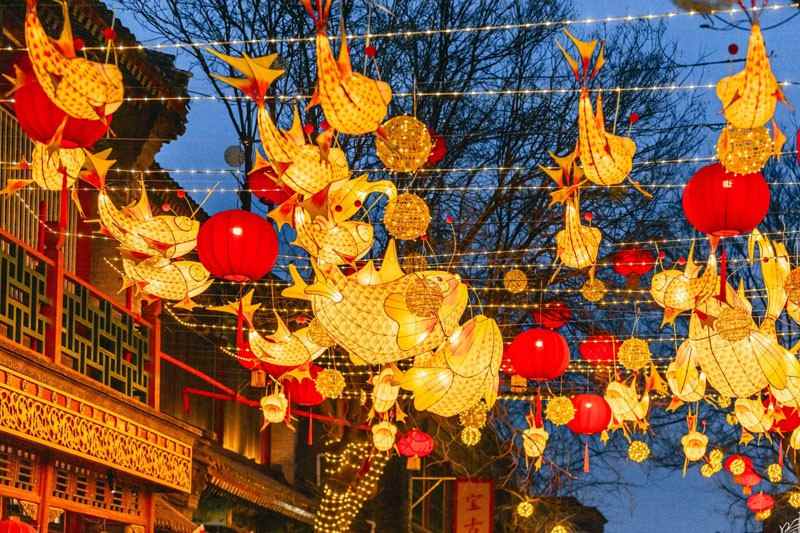 2025北京前门新春灯会(图8)