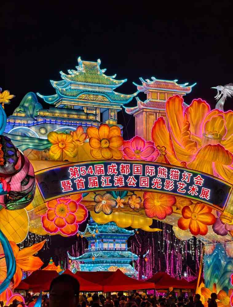 成都熊猫灯会(图2)