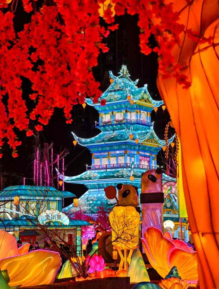 成都熊猫灯会(图3)
