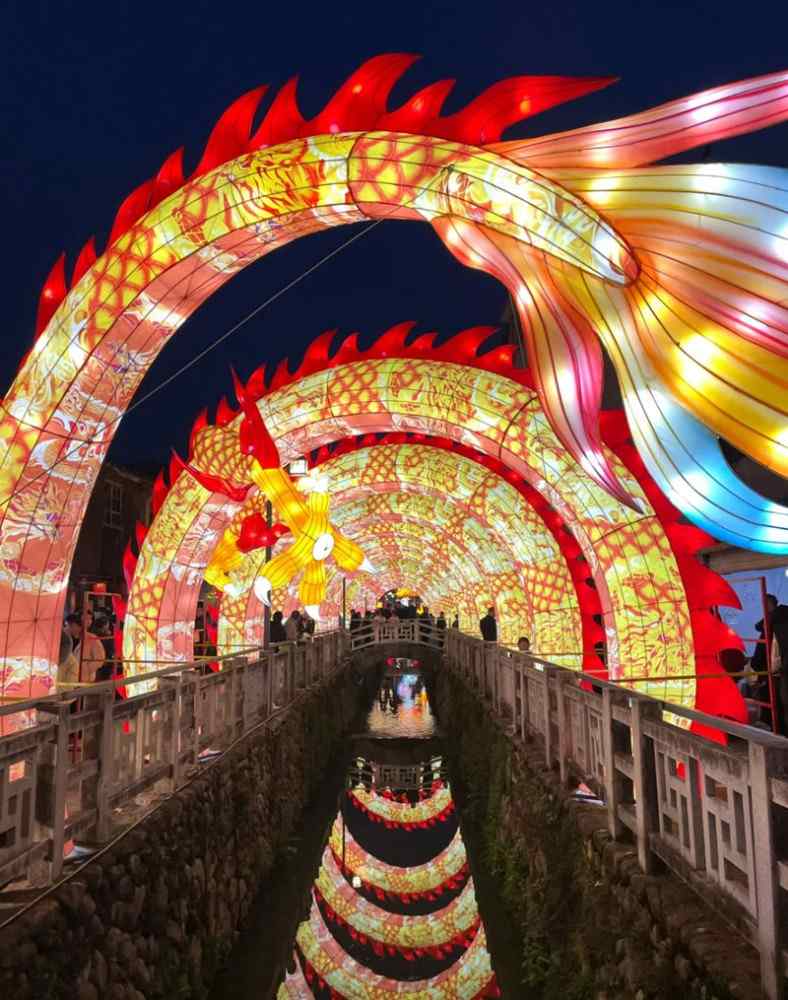 宁溪“二月二”灯会(图5)