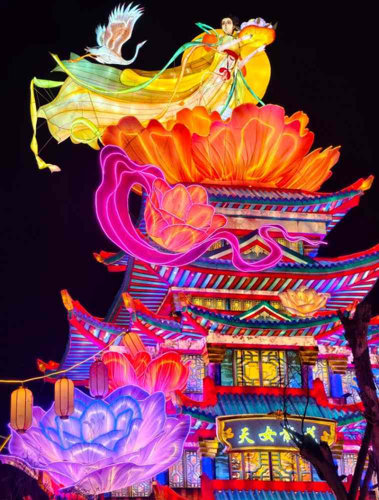 成都熊猫灯会(图6)