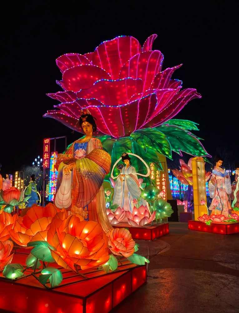 大美银川·山海共舞(图3)