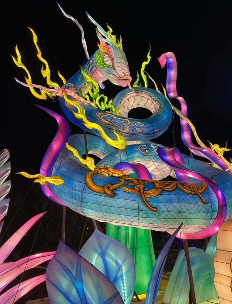 大美银川·山海共舞(图9)