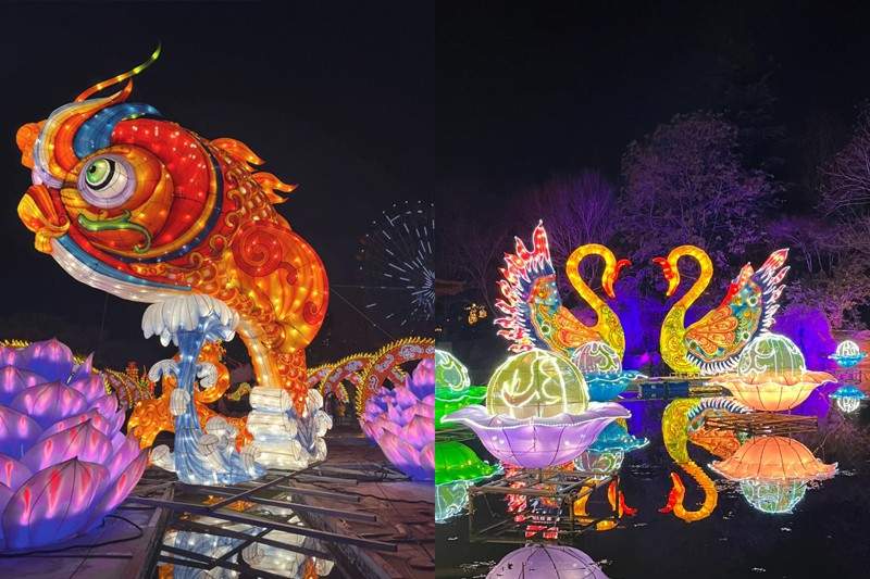 2024河南洛阳--灯耀王城过大年(图3)