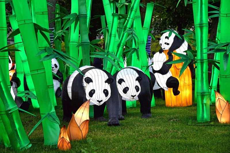 自贡彩灯全球绽放，非遗文化引领灯光艺术(图3)