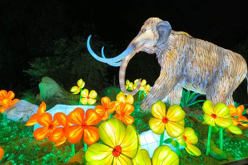 恐龙灯会光影盛宴：机械巨兽与灯光艺术的奇幻碰撞(图2)