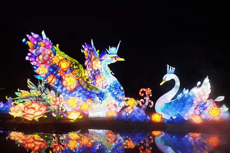 2025青岛中山公园灯会：科技与文化交融的光影盛宴(图2)