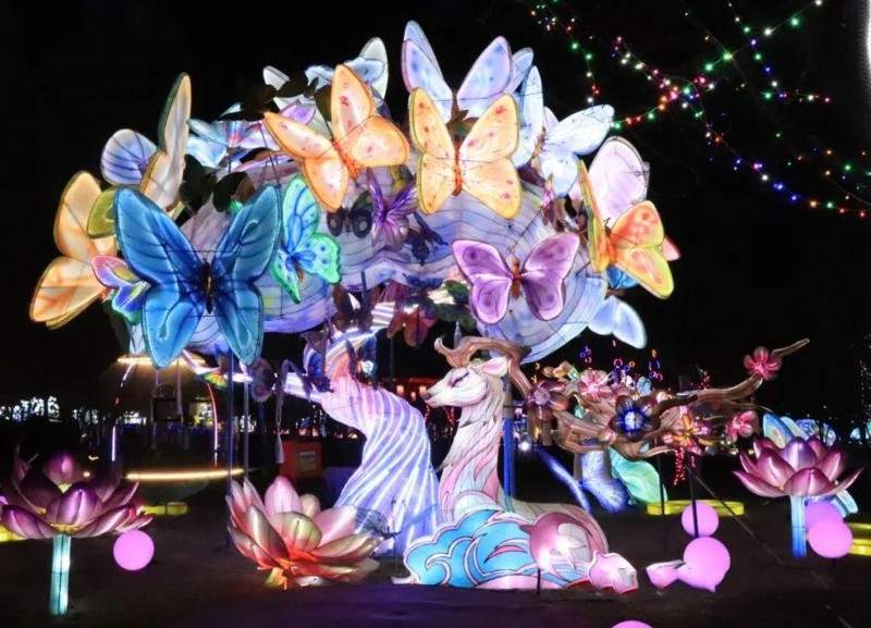 太原晋阳湖桃花岛新年灯会(图2)