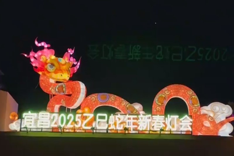 金蛇巳巳·盛世华光