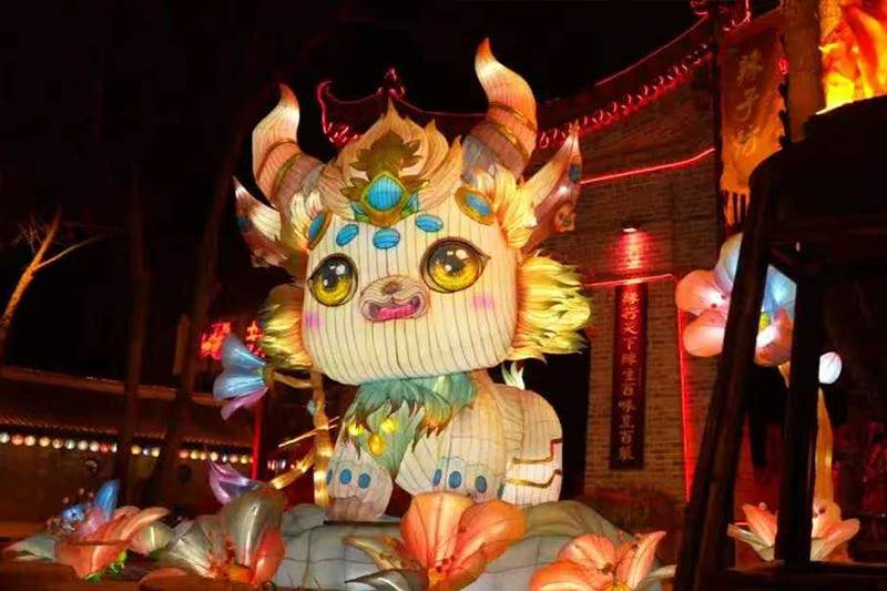 66.jpg 咸阳上元华灯夜(图4)