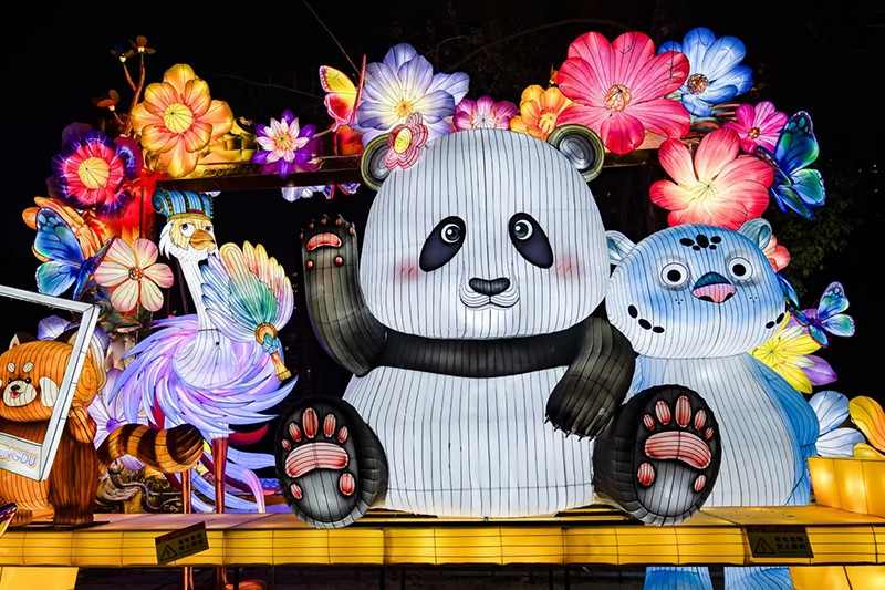 光耀蓉城·萌动新春(图3)