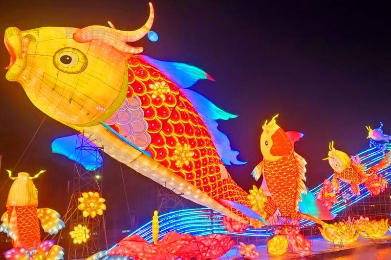 花开越秀，遇见锦鲤(图2)