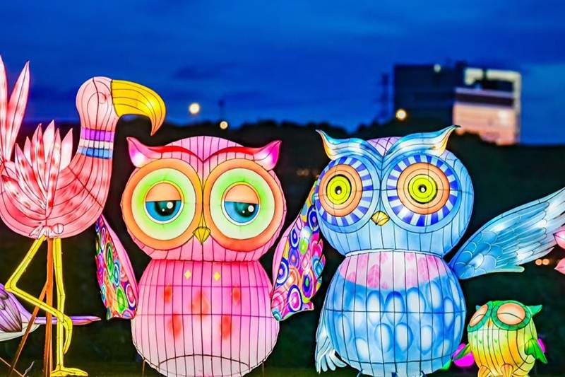 荷塘奇妙夜灯会(图2)