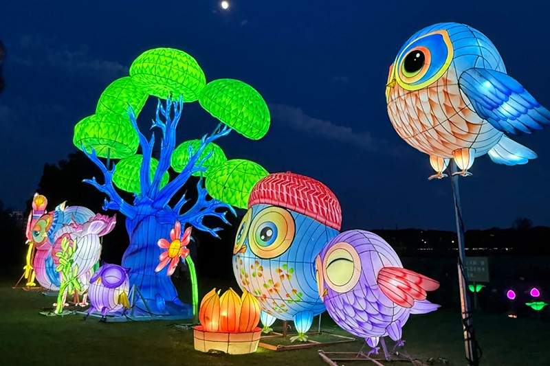 荷塘奇妙夜灯会(图3)