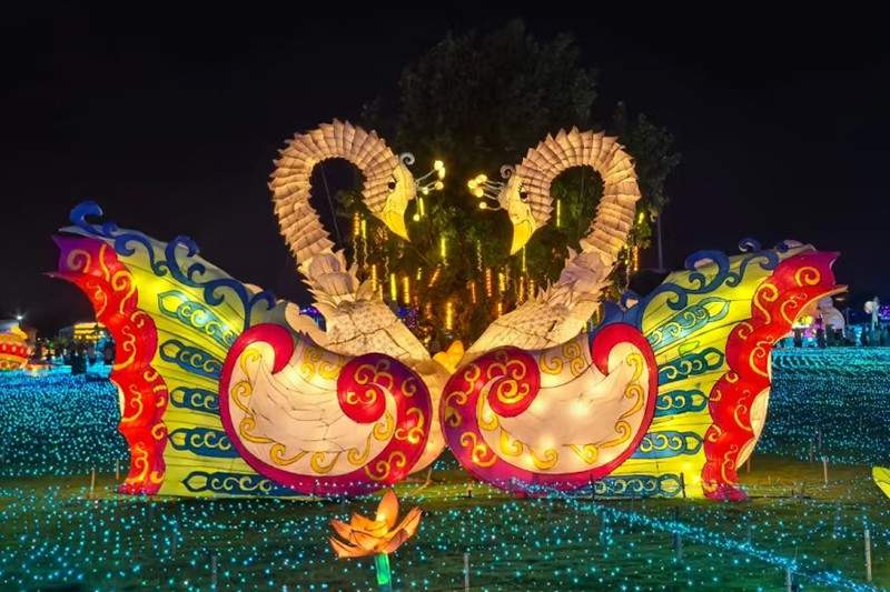 龙泉蔚然花海灯会(图3)