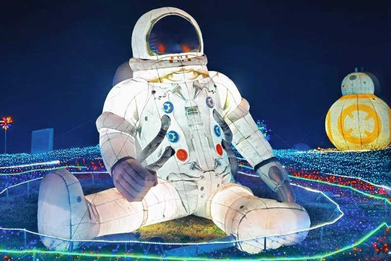 龙泉蔚然花海灯会(图2)