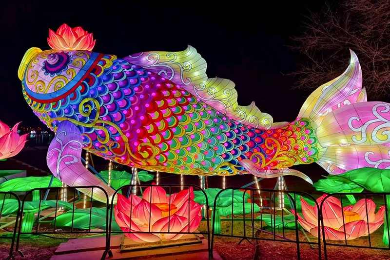 千灯耀河畔，万象启新程(图2)