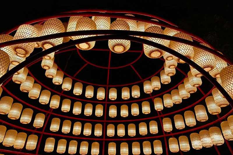 灵蛇献瑞·湿地春韵