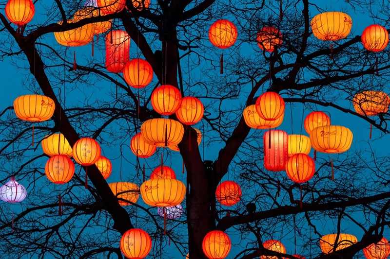 灵蛇献瑞·湿地春韵(图3)