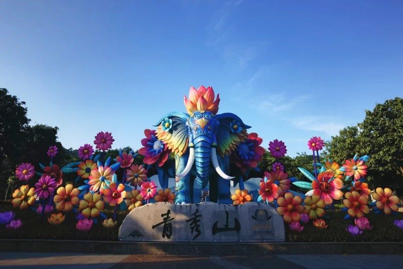 南宁夜色·青秀花园(图3)