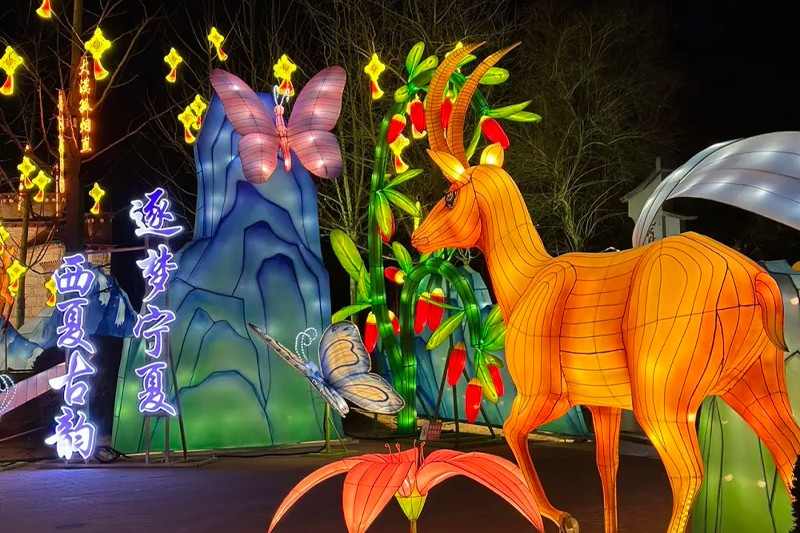 中华展园：31省区市及港澳台灯会汇聚家乡之美(图3)