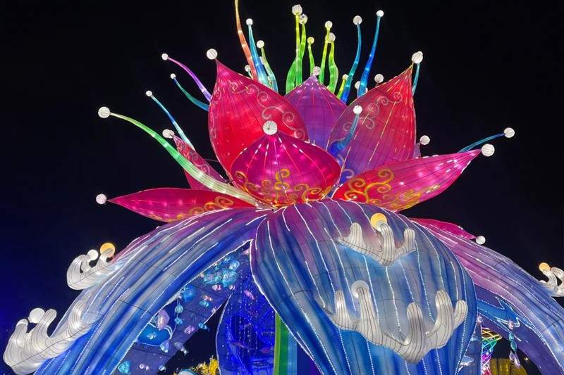 新春灯会：璀璨彩灯点亮传统文化(图3)