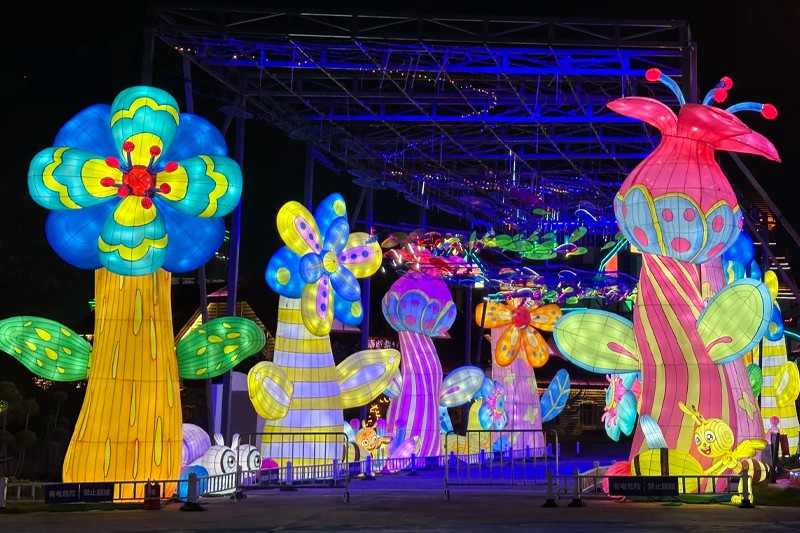 新春灯会：璀璨彩灯点亮传统文化(图2)