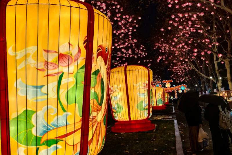 2025合肥首届逍遥津新春灯会(图9)