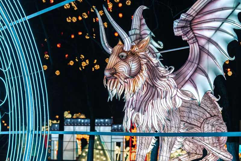 2025合肥首届逍遥津新春灯会(图15)