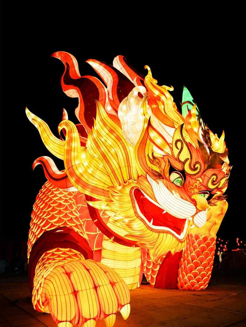 2025唐山南湖春节灯会(图12)