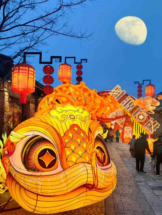 2025宿迁新春灯会(图6)