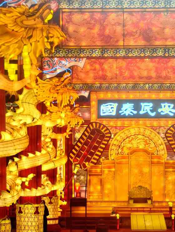 2025宿迁新春灯会(图9)