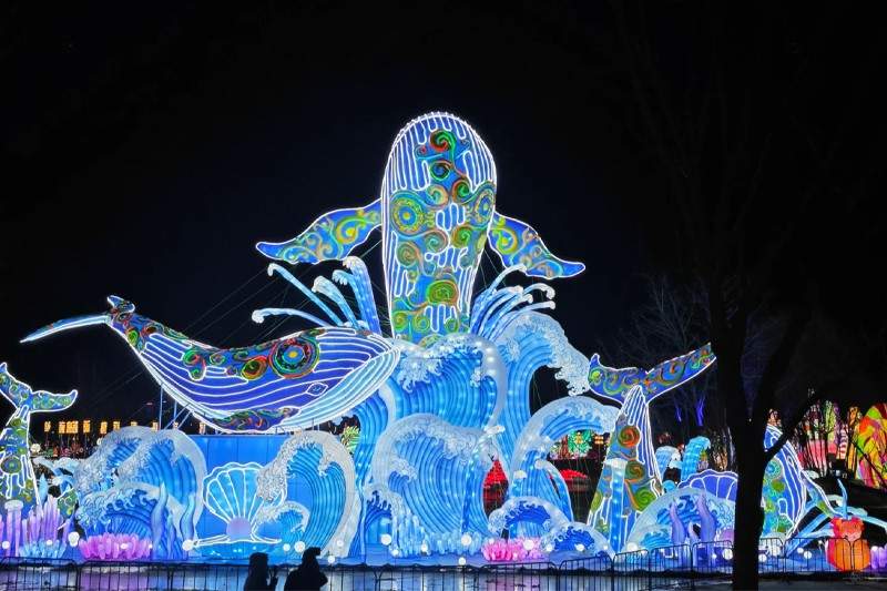 指引未来·奇趣世界(图2)