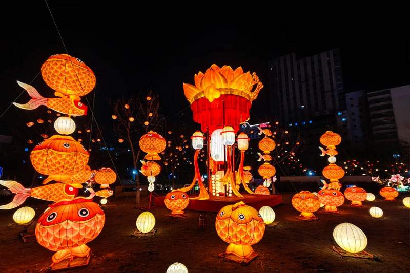 2025碧塘春灯会(图10)