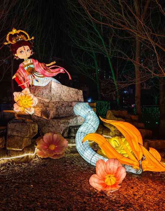 2025碧塘春灯会(图15)