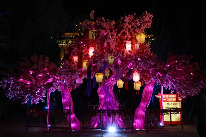 4 2025淄博聊斋城灯会(图4)